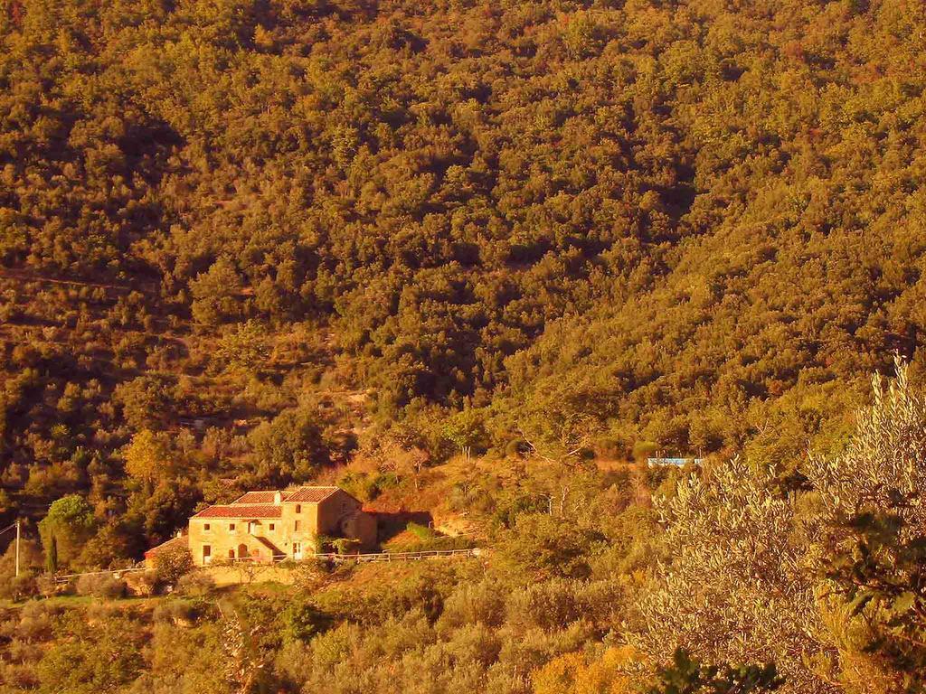 Locanda San Martino A Bocena Cortone Extérieur photo