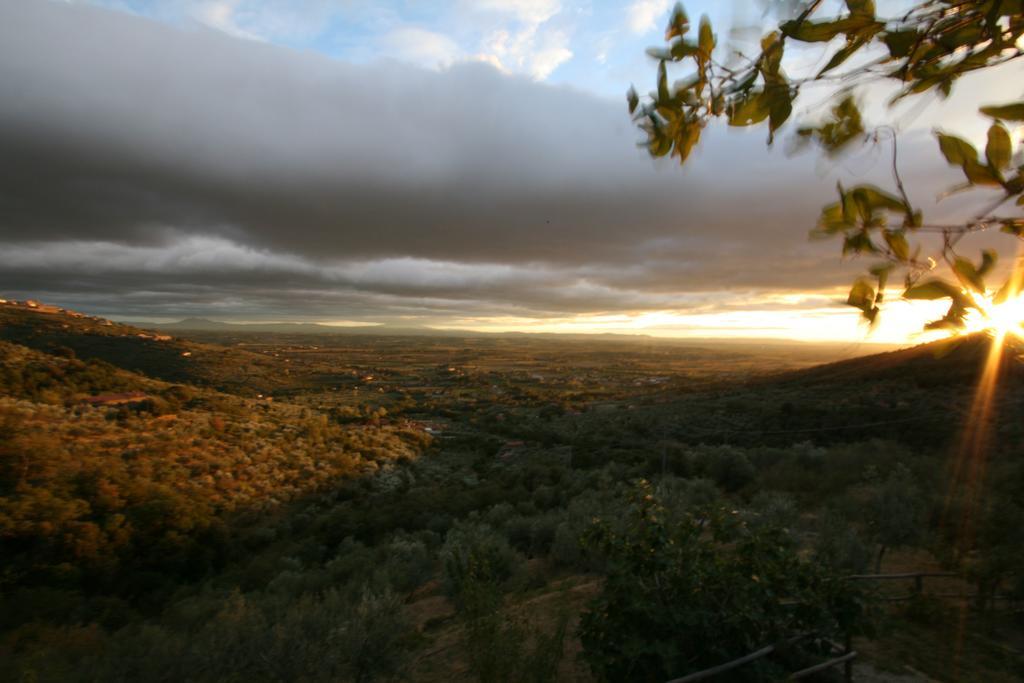 Locanda San Martino A Bocena Cortone Extérieur photo